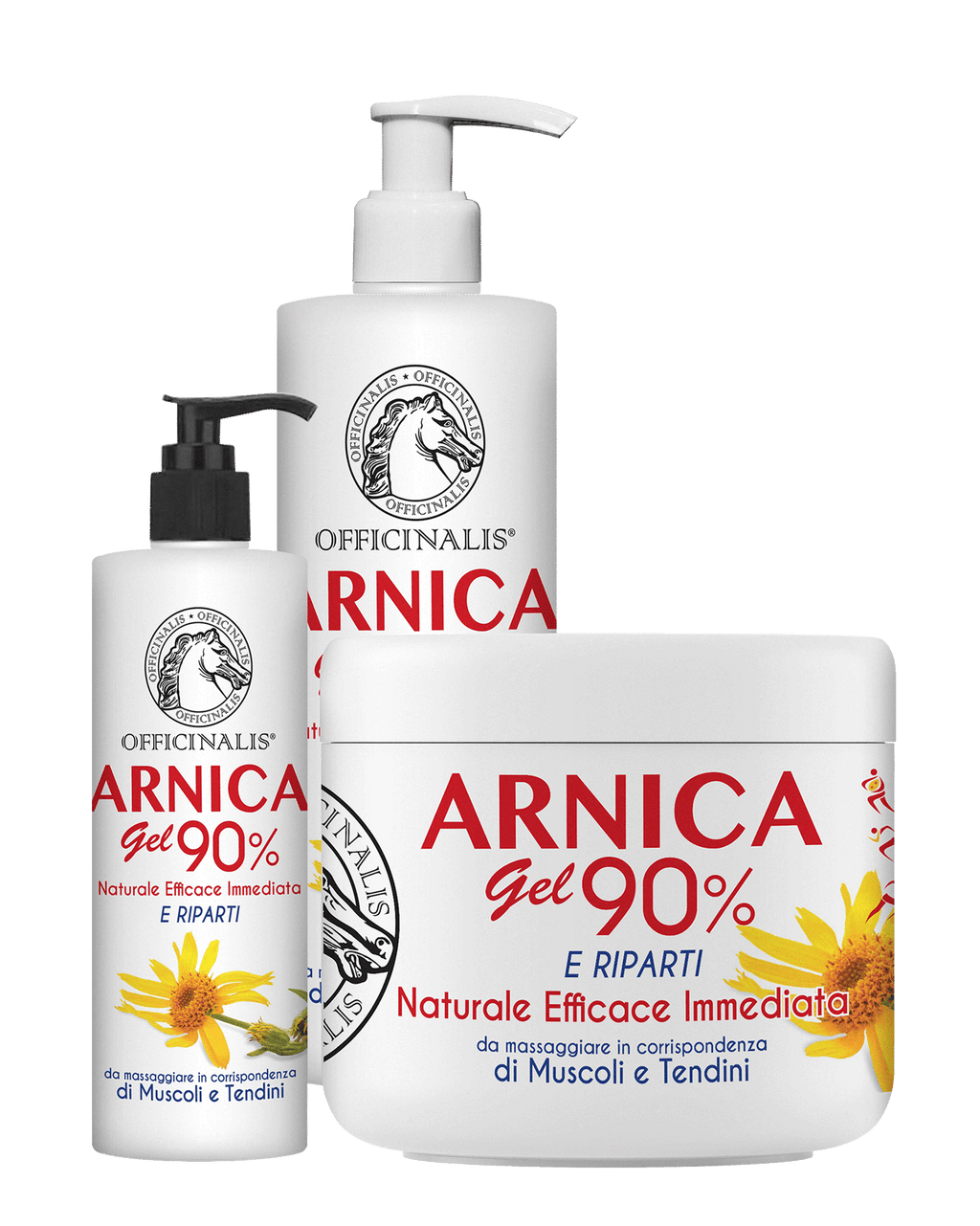 Officinalis Arnica Gel 90% - Proprietà ed utilizzo – Officinalis - Prodotti  naturali estratti da piante officinali
