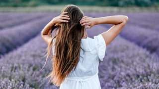 Come ridurre la forfora con la lavanda (e i nostri prodotti)