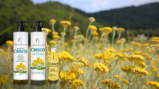 Linea Crisos Officinalis: sollievo naturale con l’elicriso e con l'aloe fresco