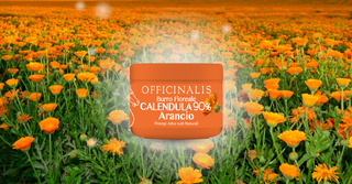 A cosa serve la Calendula? Proprietà, benefici e perché è così amata nella cura della pelle