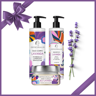 Gift Box Lavanda