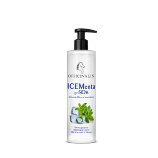 Ice Menta Gel 90%